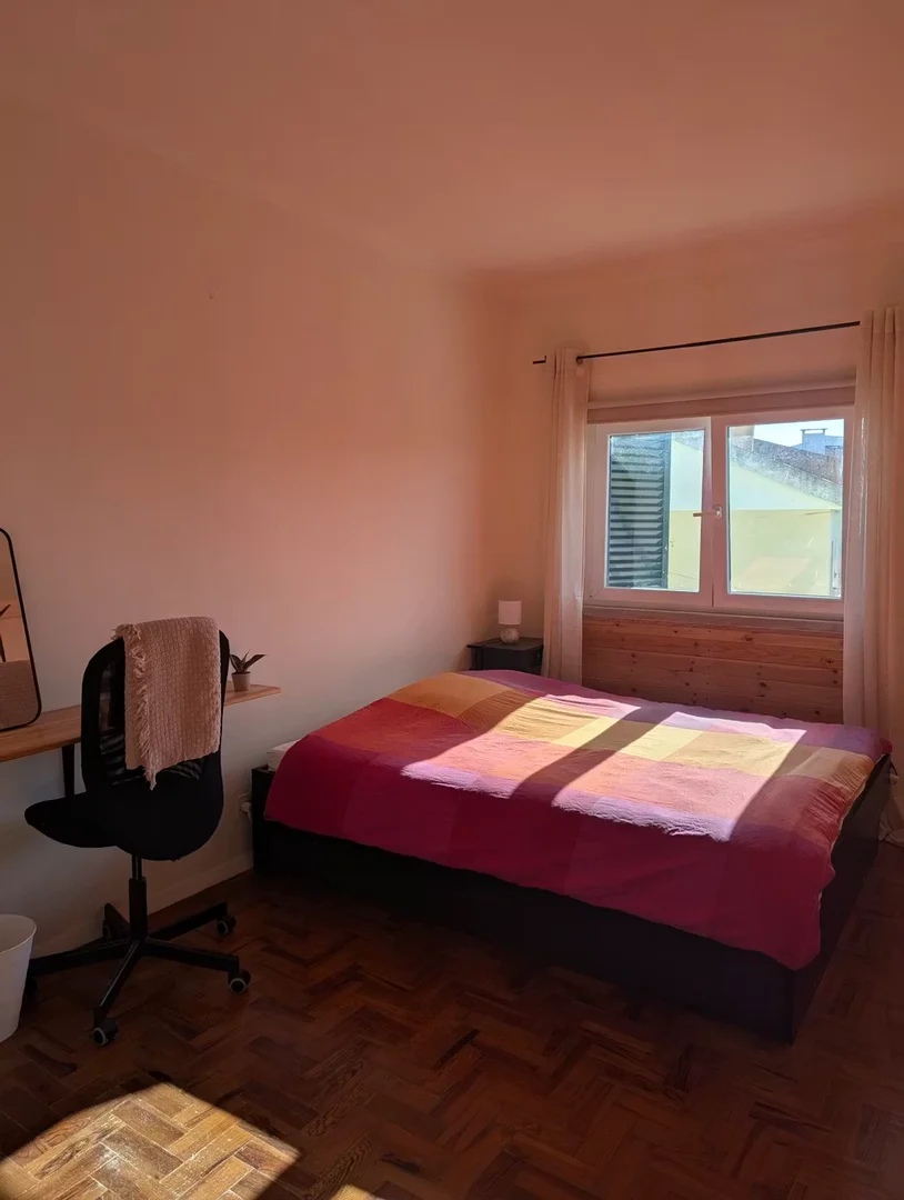 Stanza per studenti luminosa e ariosa con facile accesso all'università a 