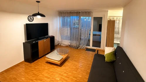 Całe miejsce Albisstrasse, Adliswil, obraz 4 10
