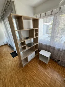 Całe miejsce Albisstrasse, Adliswil, obraz 8 10