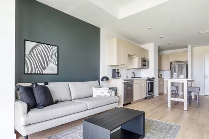 Apartamento inteiro em 1st Street Southwest, Southwest Washington, imagem 2 de 10