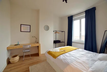 Habitación privada en Rue Général Gratry 20, 1030 Schaerbeek, Belgium, imagen 1 de 10