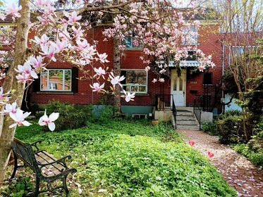 Habitación privada muy luminosa en Montreal