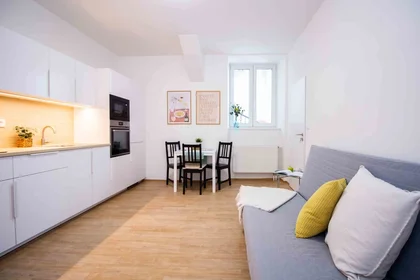Entire fully furnished flat in {area}
