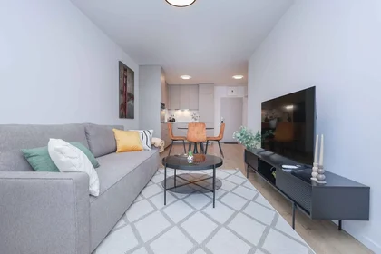 Apartamento entero totalmente amueblado  en {area}