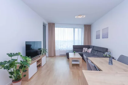 Apartamento inteiro em Továrenská 2585/12, imagem 1 de 10
