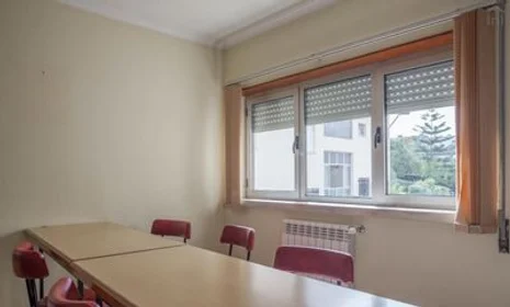 Stanza privata in Rua Pinheiro Chagas, immagine 13 di 29