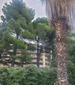 Dairenin tamamı konumu Boulevard des Armaris, 1 13 görüntüsü