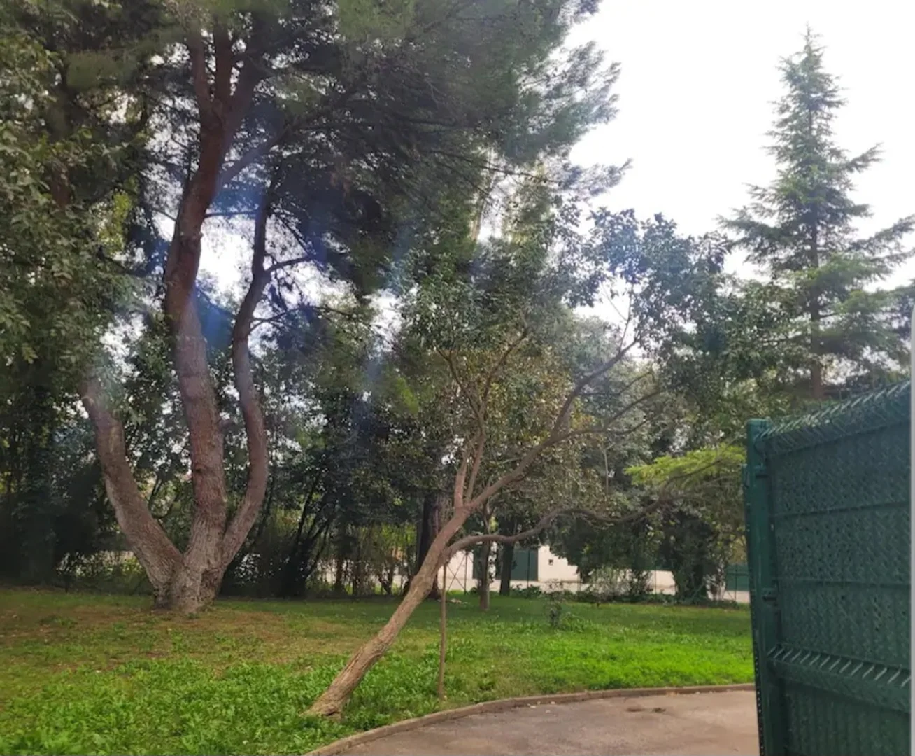 Boulevard des Armaris