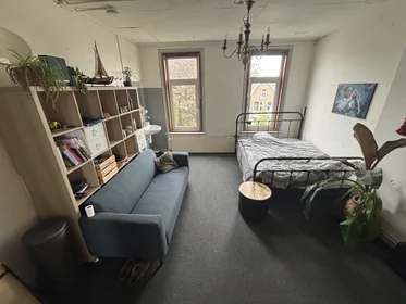 Private room at Spoorsingel, image 1 of 5