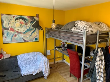 Private room at Otto Eerelmanstraat, image 1 of 9