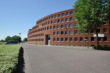 Private room at P. Hans Frankfurthersingel, image 1 of 10