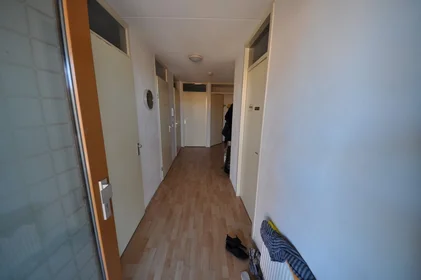 Private room at P. Hans Frankfurthersingel, image 6 of 10