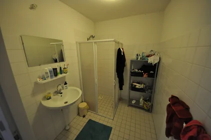 Private room at P. Hans Frankfurthersingel, image 7 of 10