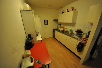 Private room at P. Hans Frankfurthersingel, image 9 of 10