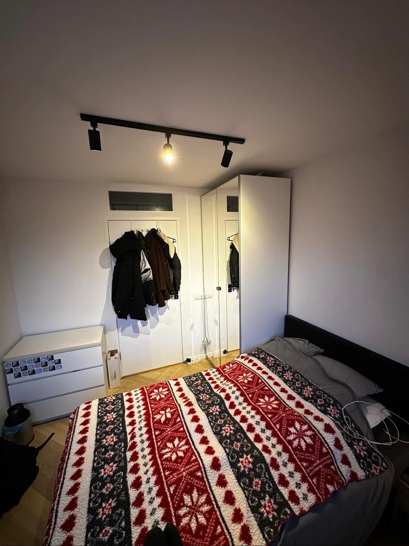 Affordable room for students with ample lighting in 
