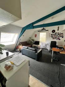 Prywatny pokój Noorderhagen, obraz 6 10