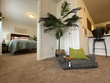Entire place in residence at 3201 13th Pl, Norman, OK 73072, United States, image 49 of 49
