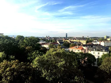 Entire place at Seilerstraße, 12, image 15 of 17