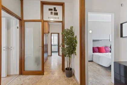 Privatzimmer in der Viale Evaristo Stefini, bild 15 von 15