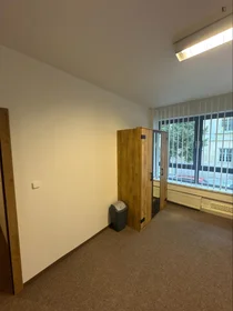 Quarto privado em Záhřebská, imagem 1 de 10