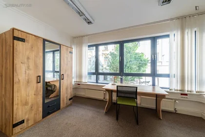 Quarto privado em Záhřebská, imagem 19 de 19