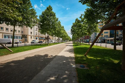 Gesamte Unterkunft in der Augustaanlage, Oststadt, bild 10 von 10