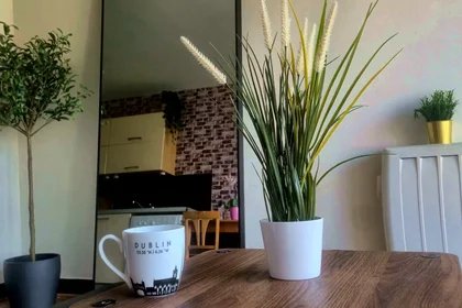 Apartamento inteiro em Malahide Road, Priorswood, imagem 6 de 10