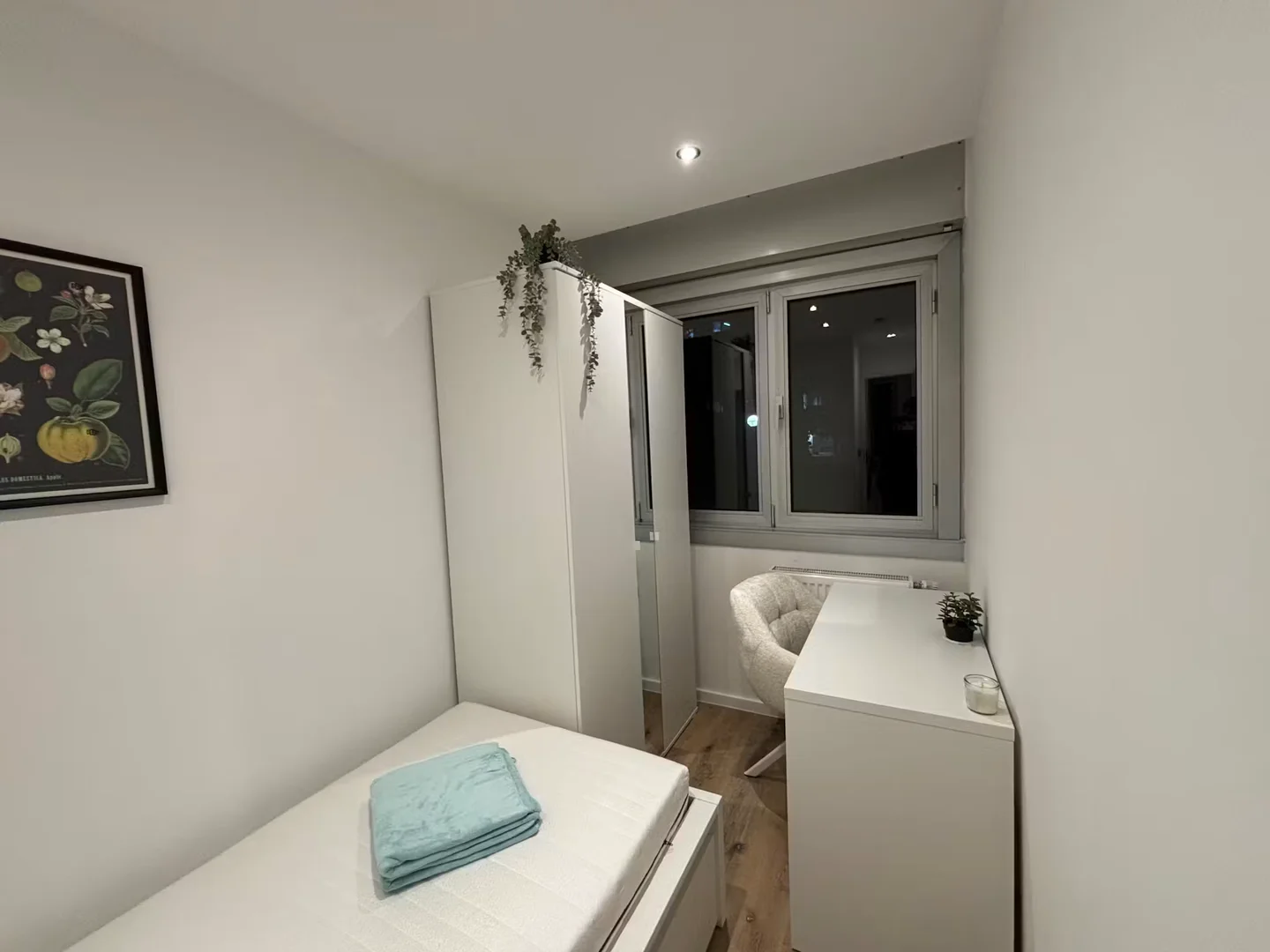 Affordable room for students with ample lighting in