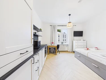 Entire apartment at plac Konstytucji, Śródmieście, image 1 of 10