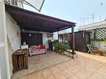 Entire apartment at Via dei Giacinti, image 19 of 21