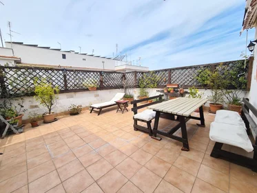 Entire apartment at Via dei Giacinti, image 20 of 21
