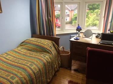 Helles Privatzimmer in Reading