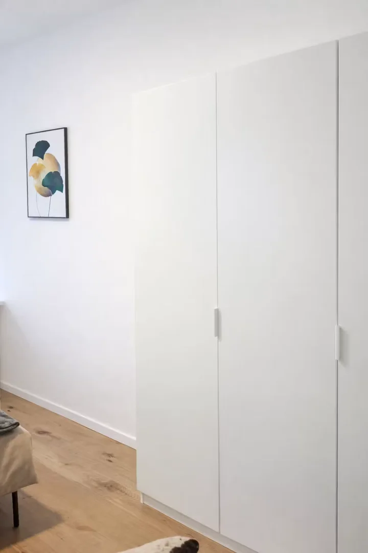Niedrogi pokój dla studentów z dużym oświetleniem w 