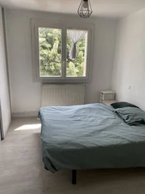Habitación privada en Nîmes, 30900, imagen 1 de 6