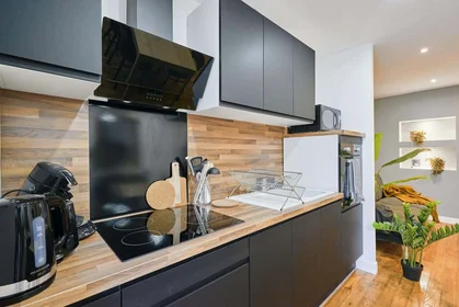 Privatzimmer in der 30 Rue La Boétie, 59800 Lille, France, bild 22 von 24