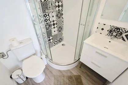 Privatzimmer in der 30 Rue La Boétie, 59800 Lille, France, bild 5 von 24