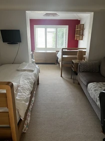 Chambre en colocation avec un autre étudiant à Oxford