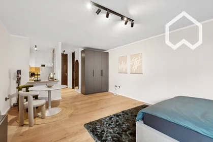 Appartamento intero in Rheinstraße, immagine 15 di 15