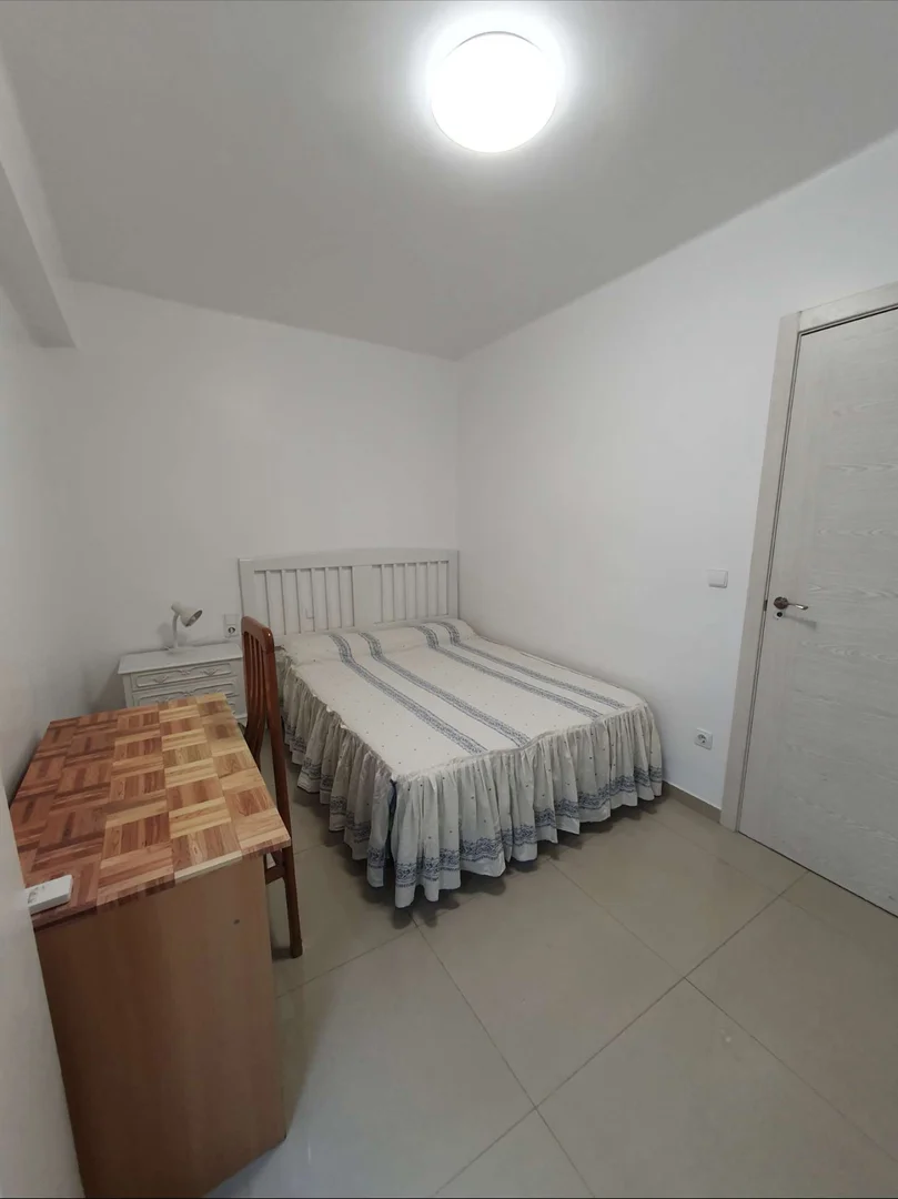 Affordable room for students with ample lighting in 