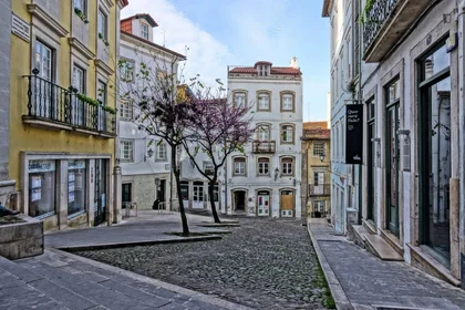 Całe miejsce Rua Sobre Ribas, obraz 28 33