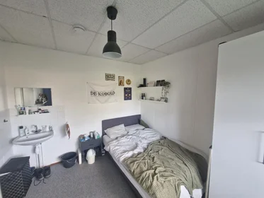 Chambre privée à Hennepstraat, image 3 de 10