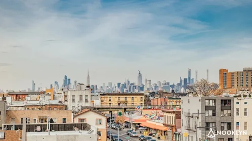 Gesamte Unterkunft im Wohnheim in der 358 Irving Avenue, 3B, Bushwick, Brooklyn, NY, 11237, bild 14 von 15