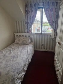 Bright private room in Galway