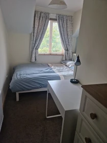Room for rent in a shared flat in Galway