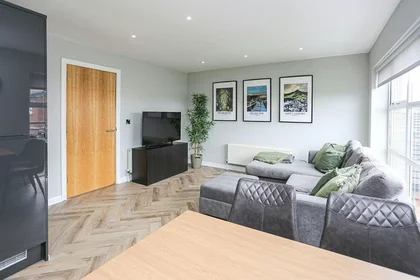Gesamte Unterkunft in der Lewis Mews, Belfast, bild 7 von 10