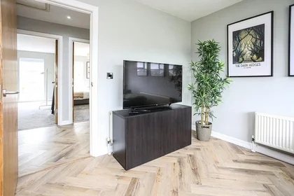 Gesamte Unterkunft in der Lewis Mews, Belfast, bild 8 von 10