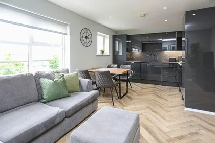 Gesamte Unterkunft in der Lewis Mews, Belfast, bild 9 von 10