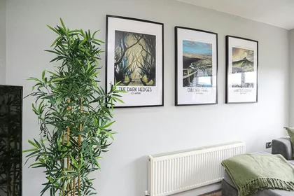 Gesamte Unterkunft in der Lewis Mews, Belfast, bild 10 von 10
