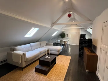 Appartamento intero in Witte de Withstraat, Stadscentrum, immagine 1 di 10