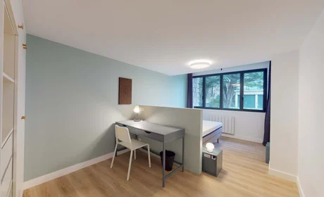 Prywatny pokój 17b rue Pierre Honfroy Ivry-sur-Seine 94205 FR, obraz 1 14
